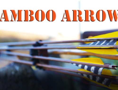 Primitive Bamboo Arrows