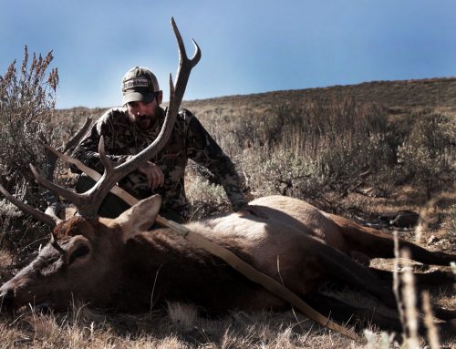 Traditional Bowhuting Elk Part 1