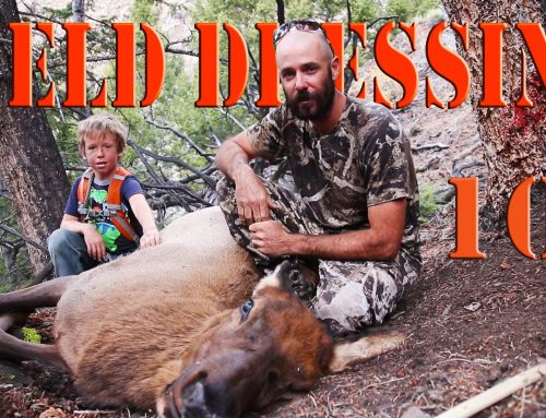 How to de-flesh a deer hide – My Life On The Land