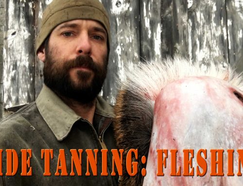 Hide Tanning Part 1 – Fleshing a Deer Hide