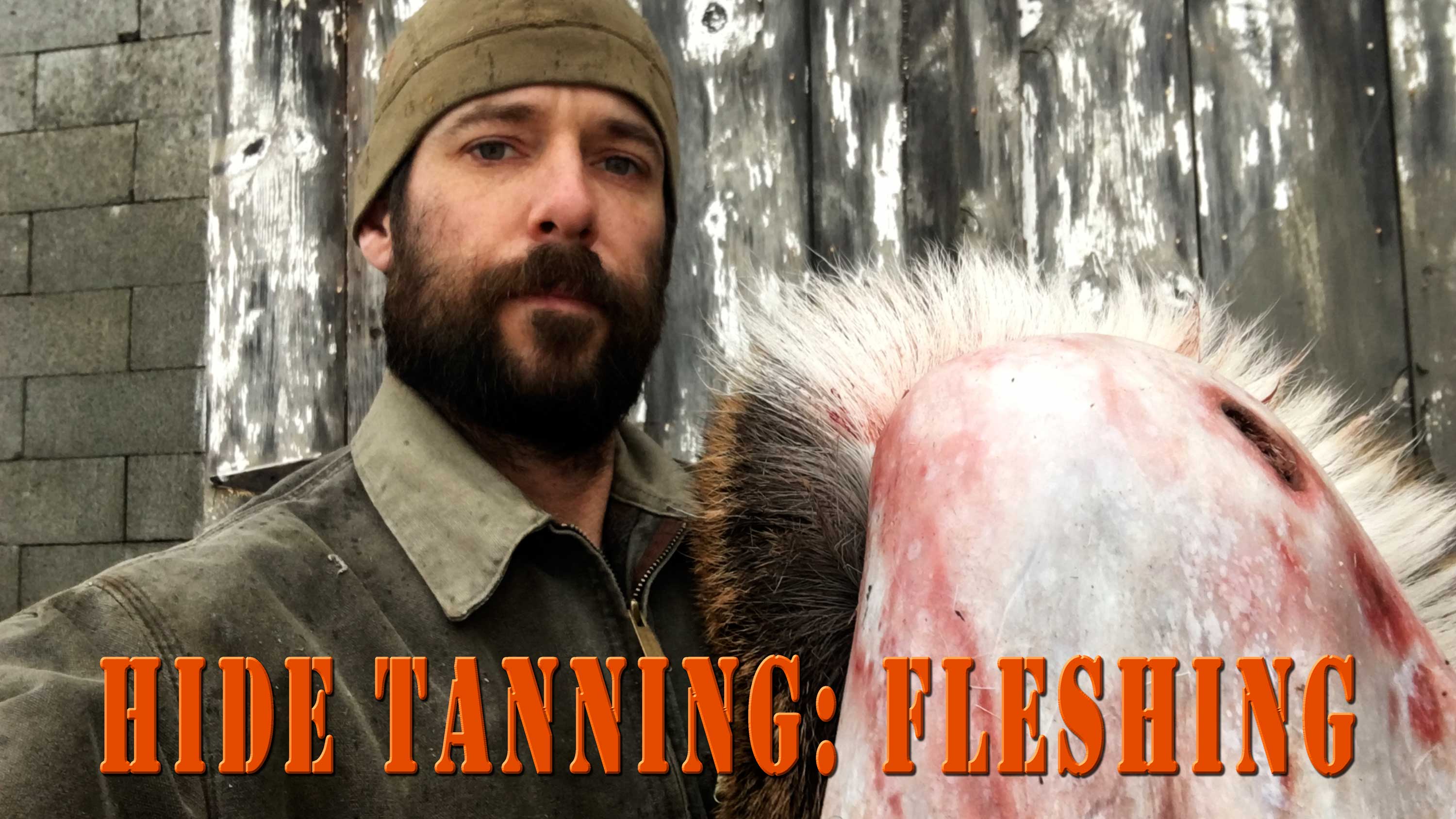 Hide Tanning Part 1 - Fleshing a Deer Hide - Twisted Stave Media