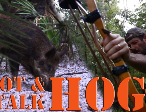 Recurve Hog Hunting