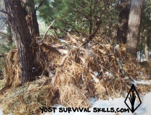 The Four Essentials of Survival Shelters