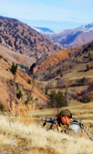 Glassing for bucks